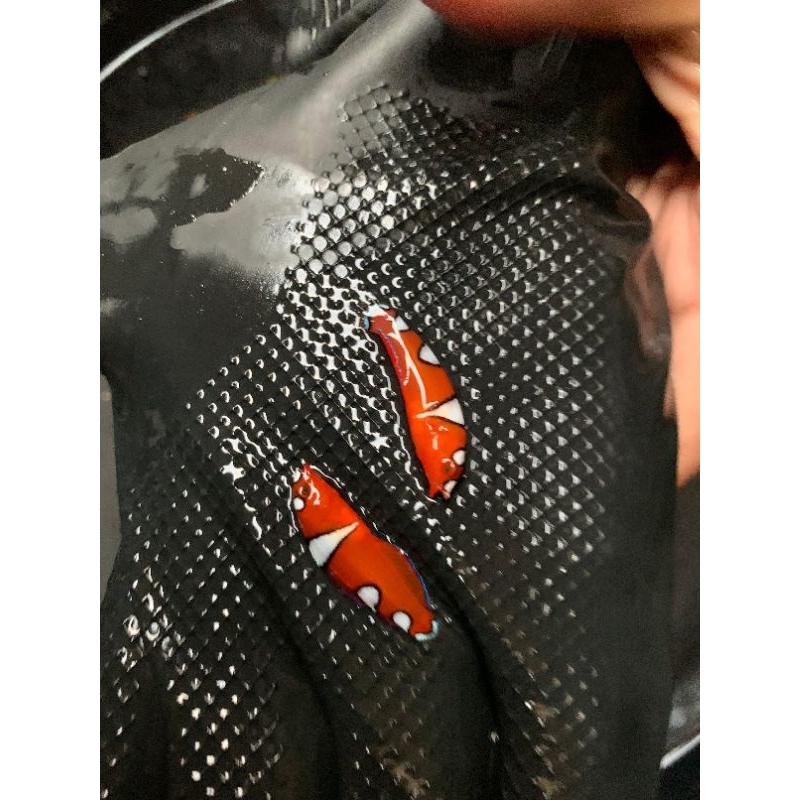 

Ikan keling merah air laut