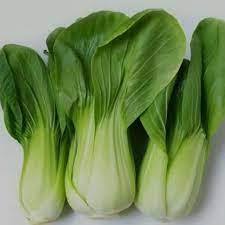 

Pakcoy Fresh | Sayuran Hijau untuk Tumisan & Sup | Harga 250 gr