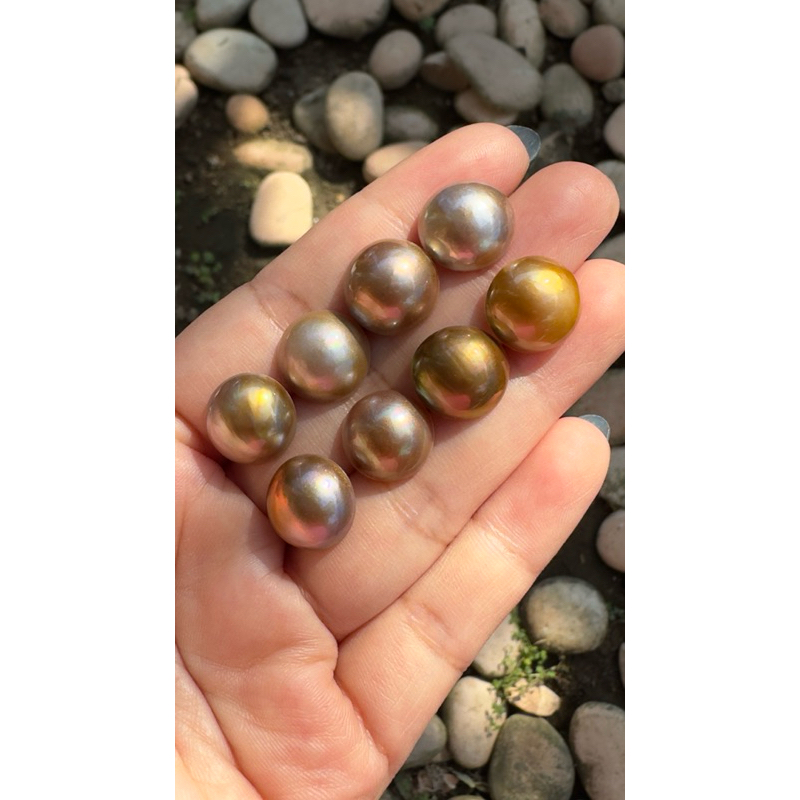 Mutiara MABE GOLD/ mutiara half pearl / mutiara setengah lingkaran / mutiara laut / mutiara lombok i