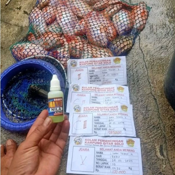 Essen Mayit Campuran Umpan Ikan Nila Bawal Lele Tombro /ikan mas walang sangit  by Iwan tegek