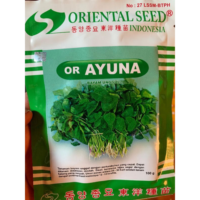 BENIH BAYAM UNGGUL OR AYUNA ORIENTAL SEED