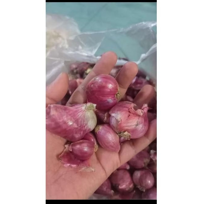 

bawang merah probolinggo Tanggung Campur 1kg