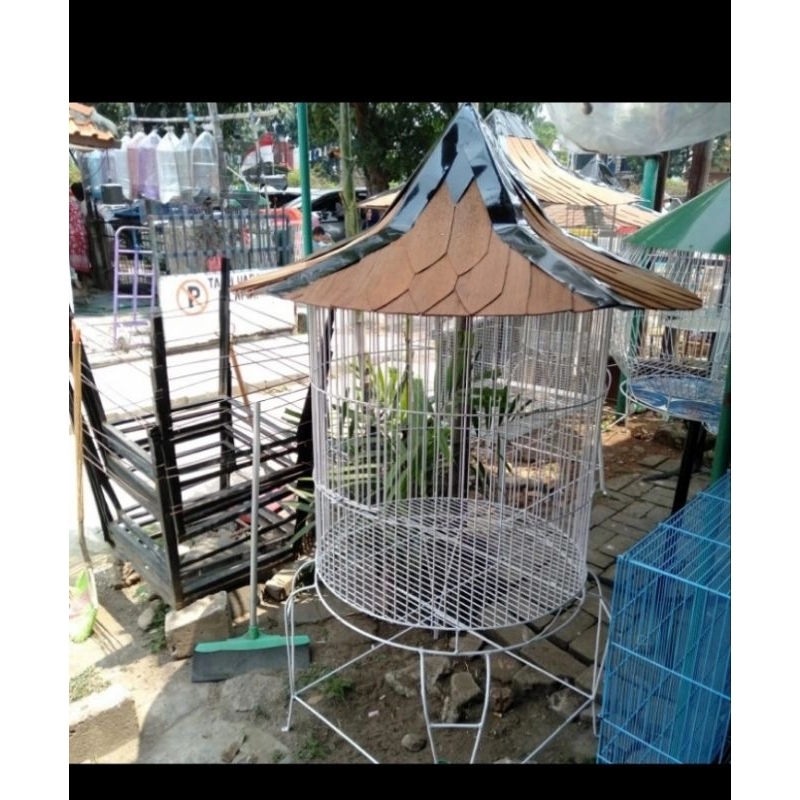 sangkar kandang burung beo nuri Kaka tua jalak ayam pelung ayam bekisar dll