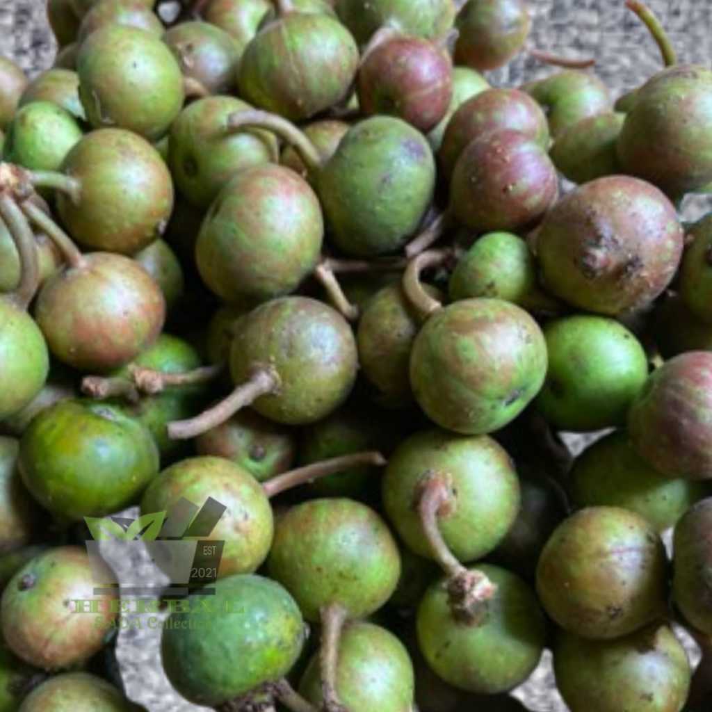 

Buah Gondang Segar 300 gram Buah Kondang fresh Petik
