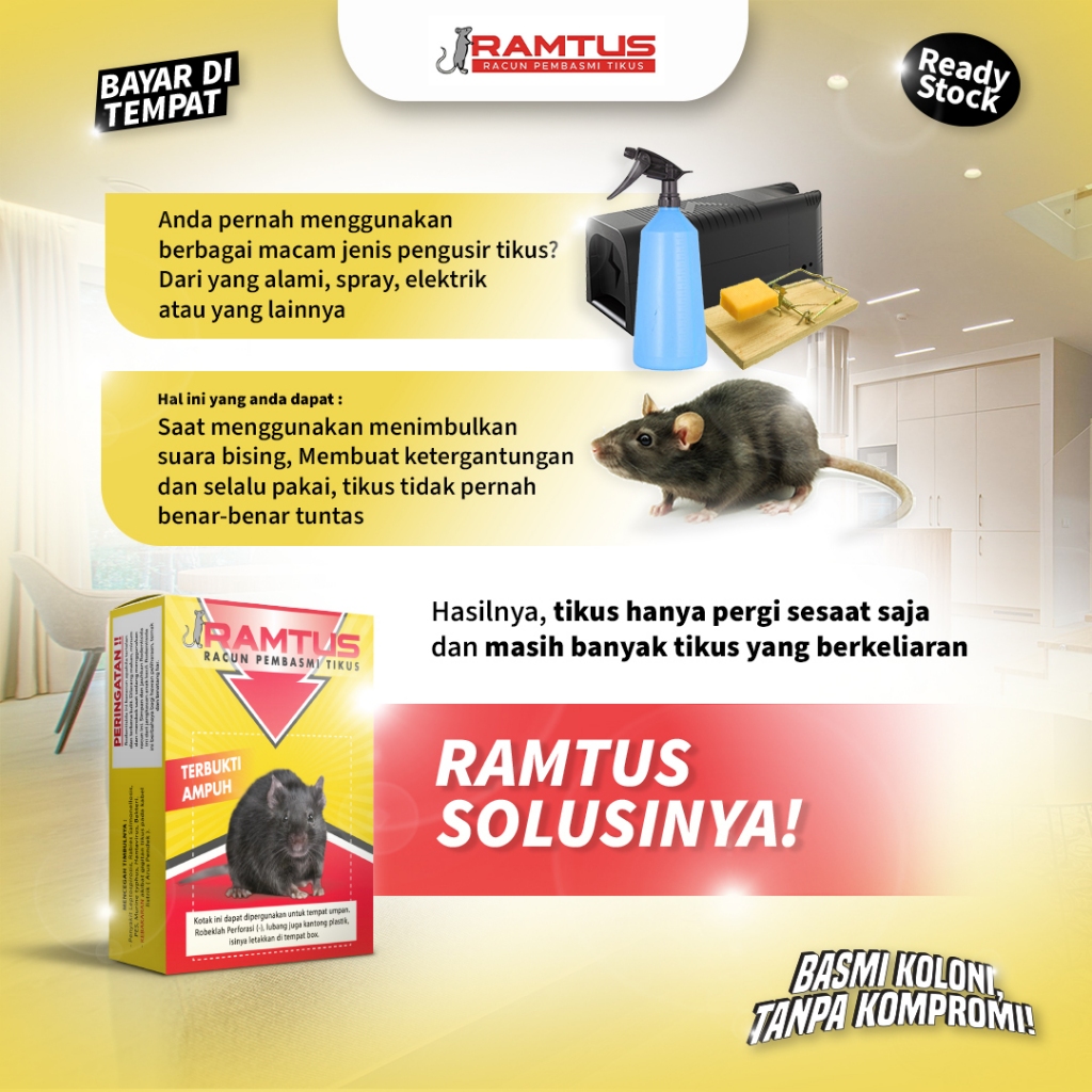Umpan Jebakan Tikus Masal Paling Efektif, Tanpa Alat Jebakan Tikus Jepit, Listrik, Massal & Elektrik