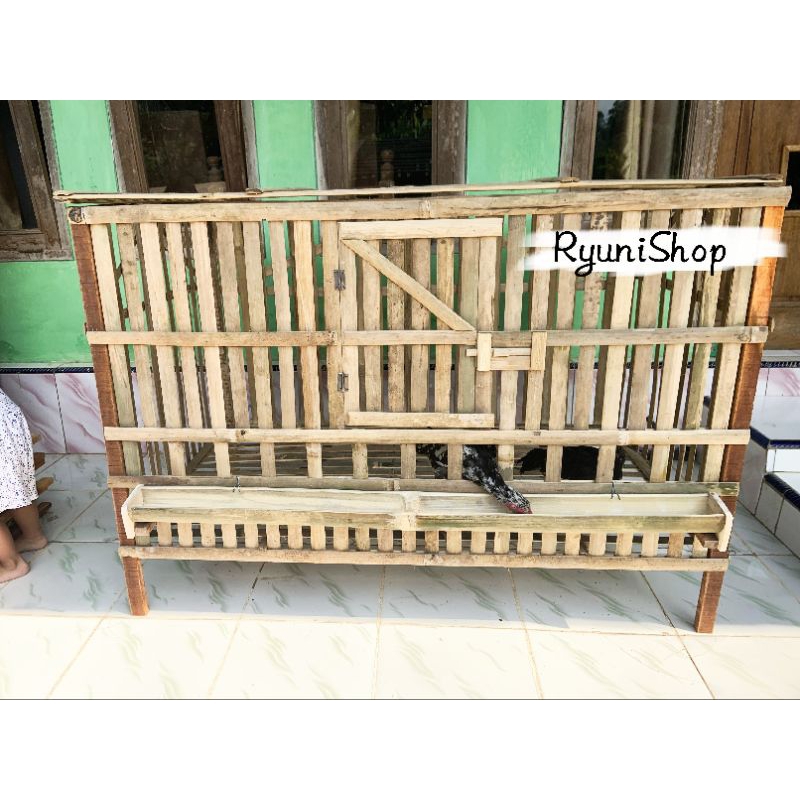 kandang ayam jumbo untuk anakan 120x70cm