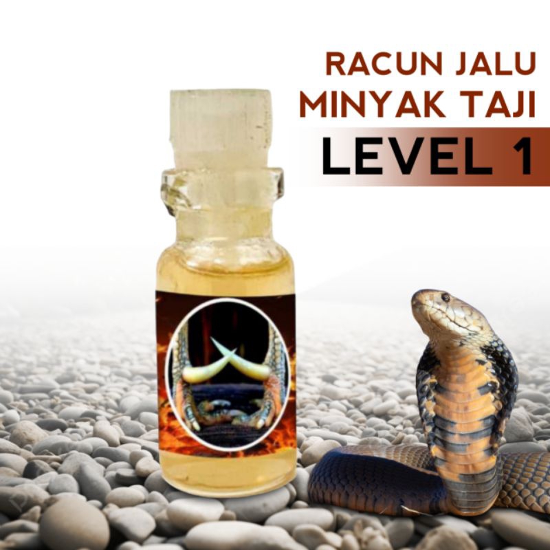 top speed winner minyak Taji racun ayam Bangkok aduan