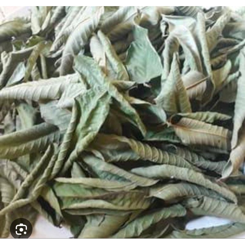 

Daun Jambu Merah Dan Putih 1 Kg Obat Herbal Tradisional Termurah