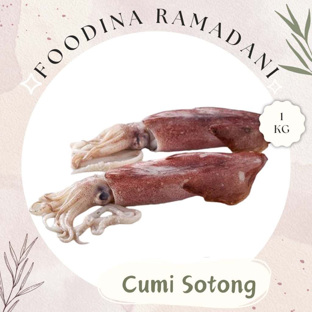 

CUMI SOTONG Jumbo Besar - Squid Fresh [ Berat 1.000gr ] Harga Per KG