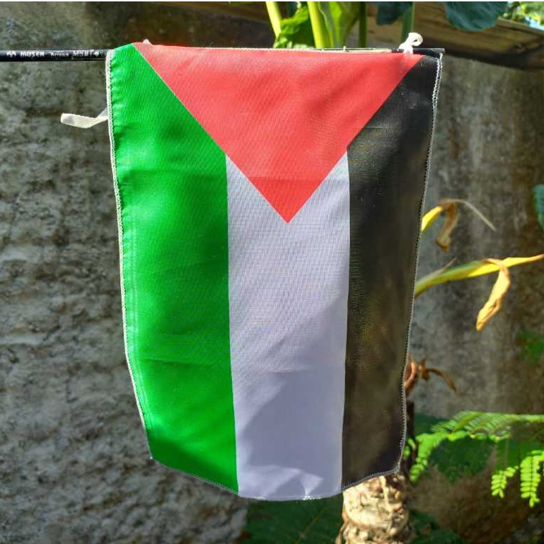 Bendera palestina kecil /Bendera motor palestina /bendera kecil /bendera tali