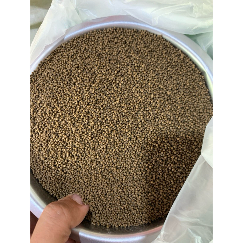 pf1000 kemasan 500g