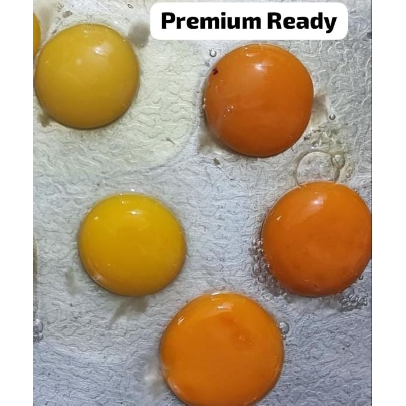 

Telur Ayam Negeri Premium 1kg