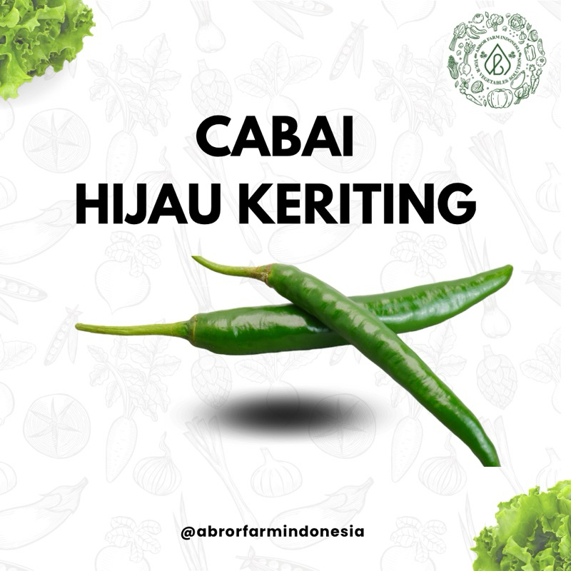 

Cabai Hijau Keriting
