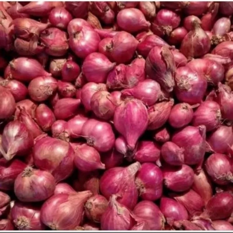 

Bawang Merah Brebes 1kg