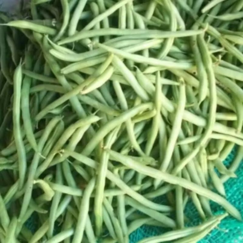

Buncis Segar