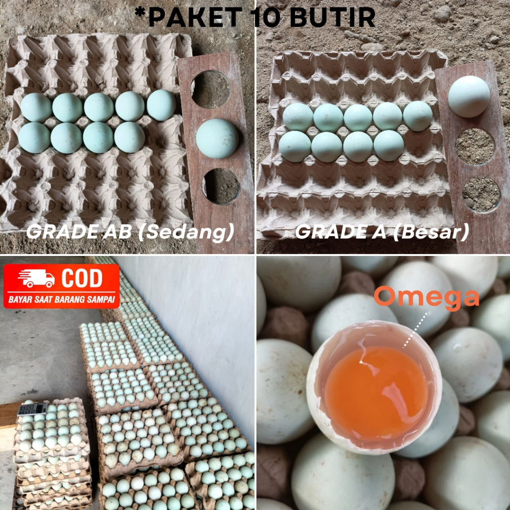 

Telur Bebek Tawar Mentah Fresh Paket 10 Butir Grade AB A