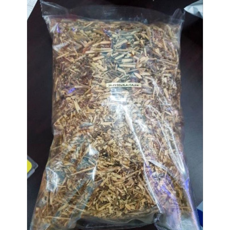 

Daun Belalai Gajah Kering 100 Gram Obat Herbal Tradisional Termurah
