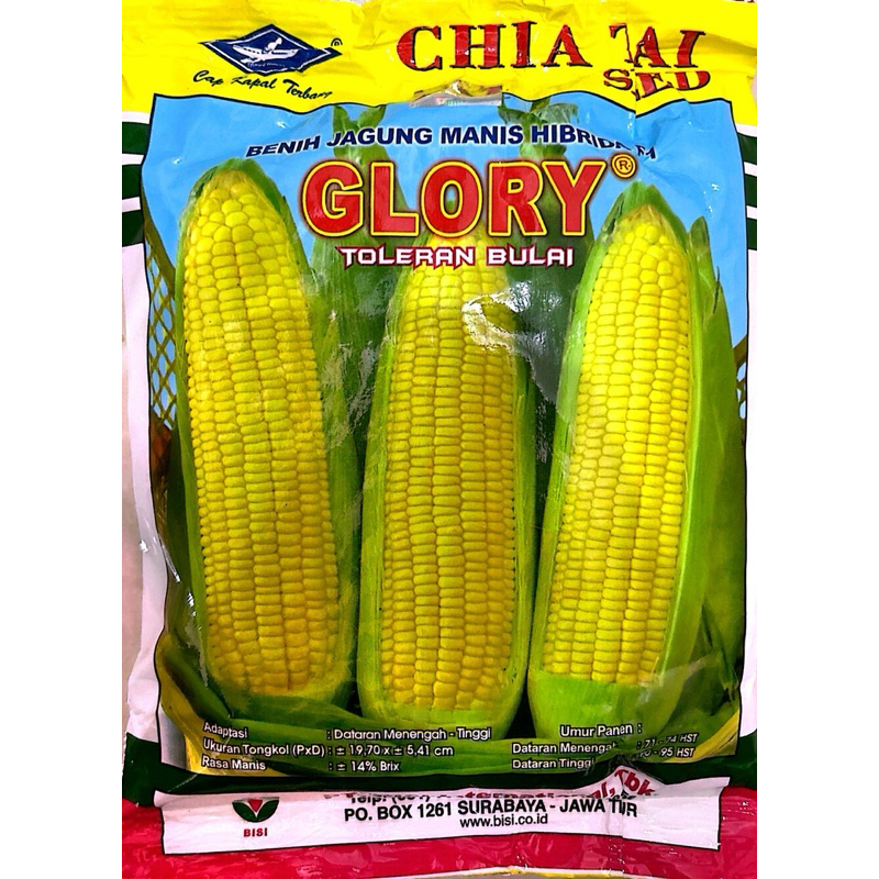 

Jagung Manis F1 GLORY