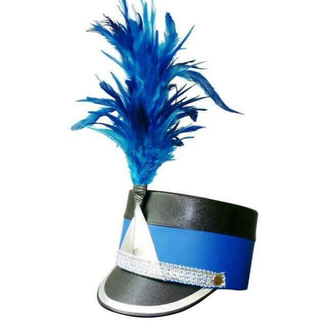 ✅CUSTOM WARNA BULU AKSESORIS MAYORET / HIASAN TOPI DRUMBAND MARCHING BAND