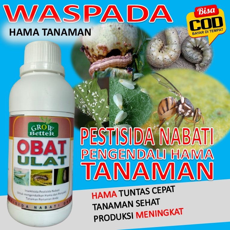 Pestisida Nabati Obat Hama Ulat Daun Ulat Grayak Belalang Kutu Putih Kutu Kebul Tungau wereng