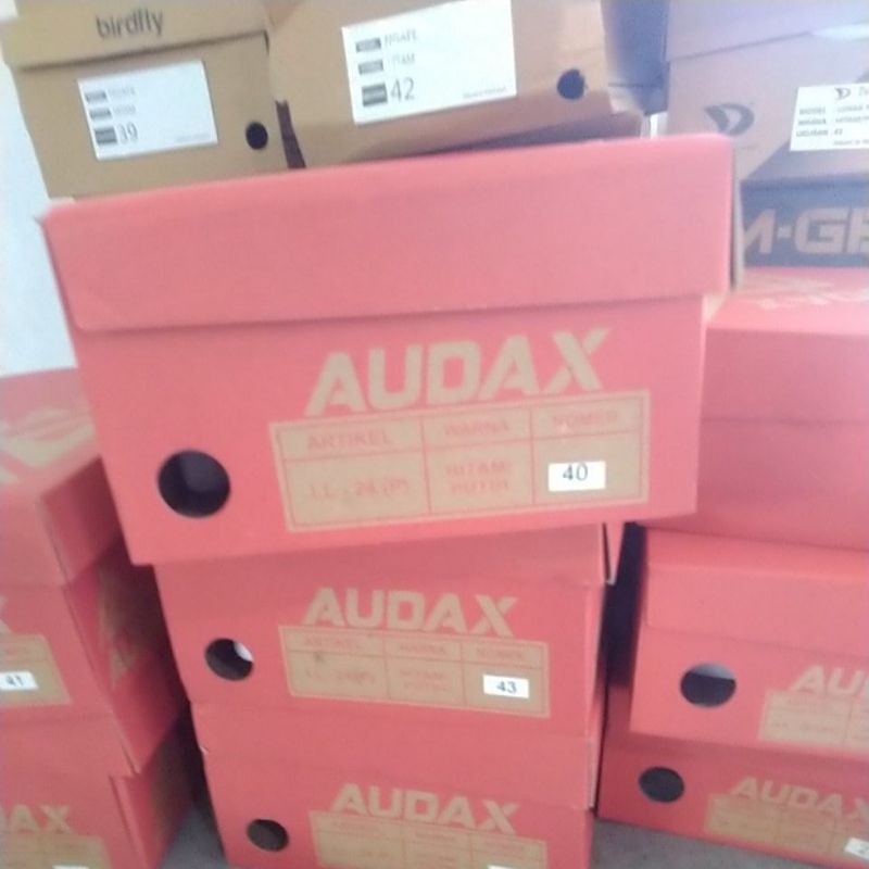 sepatu audax