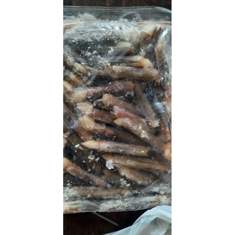 

Kerang bambu frozen segar 1kg