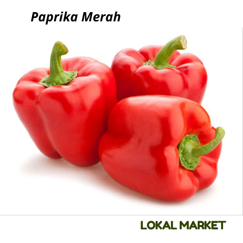 

Paprika Merah 500gr dan 1kg