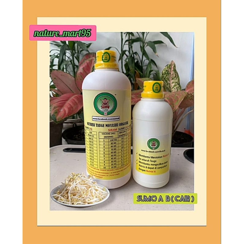 SUMO Cair A & B khusus tauge                            ( Penggemuk tauge & Pemutih tauge )