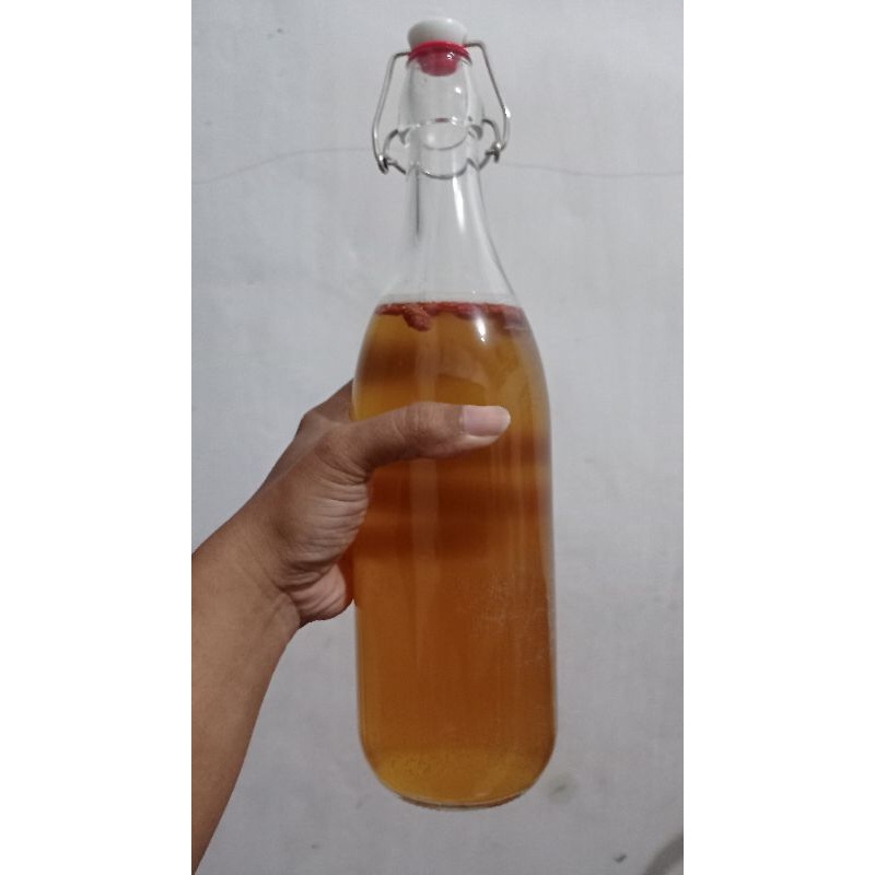 

kombucha kayu manis atau goji berry