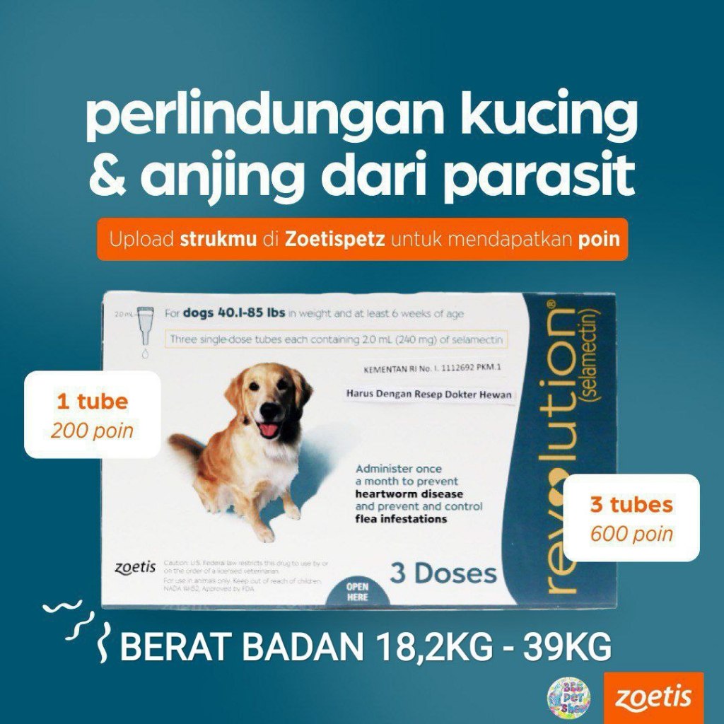 Giltbite_ Revolution Anjing Teal / Revolution Teal / Obat Kutu Anjing
