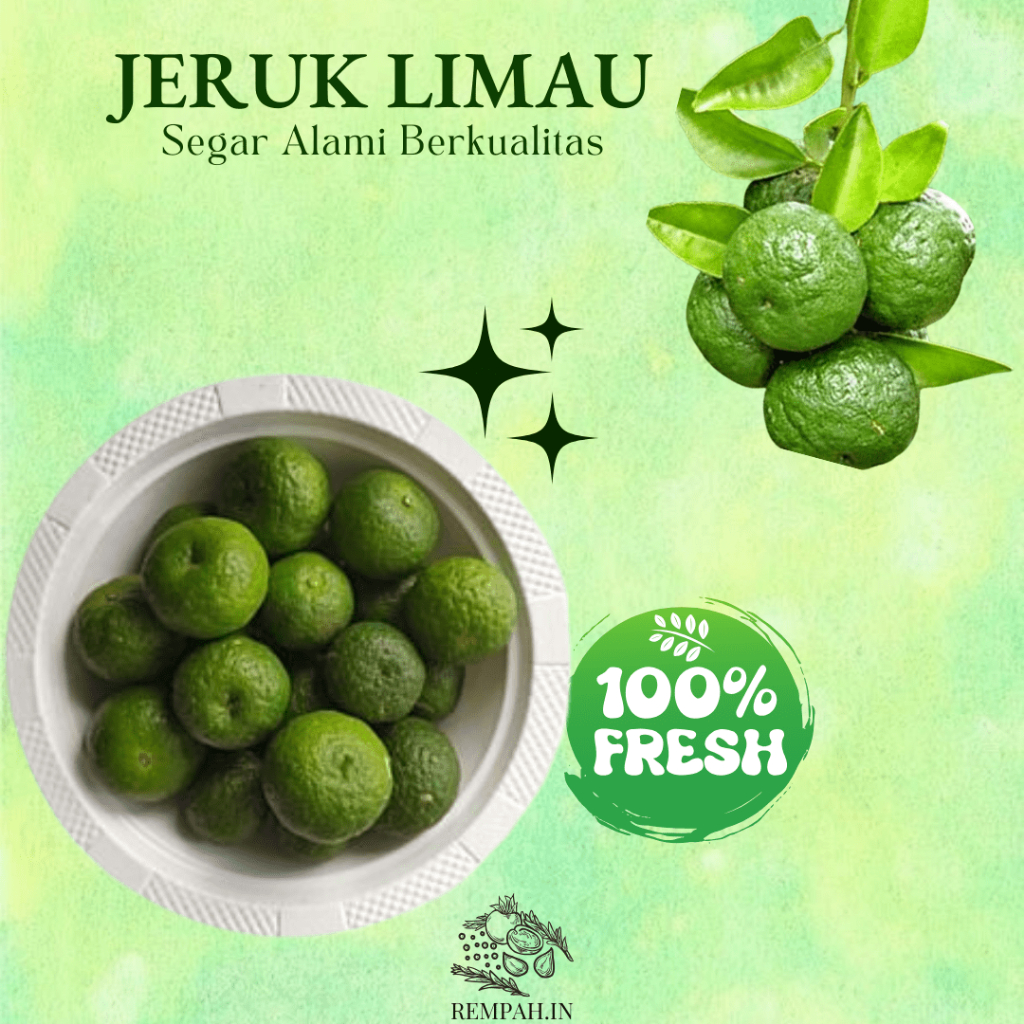 

Jeruk Limau Segar - 1 Kg - Jeruk Nipis Berkualitas Tinggi - Ideal untuk Masakan dan Minuman Segar