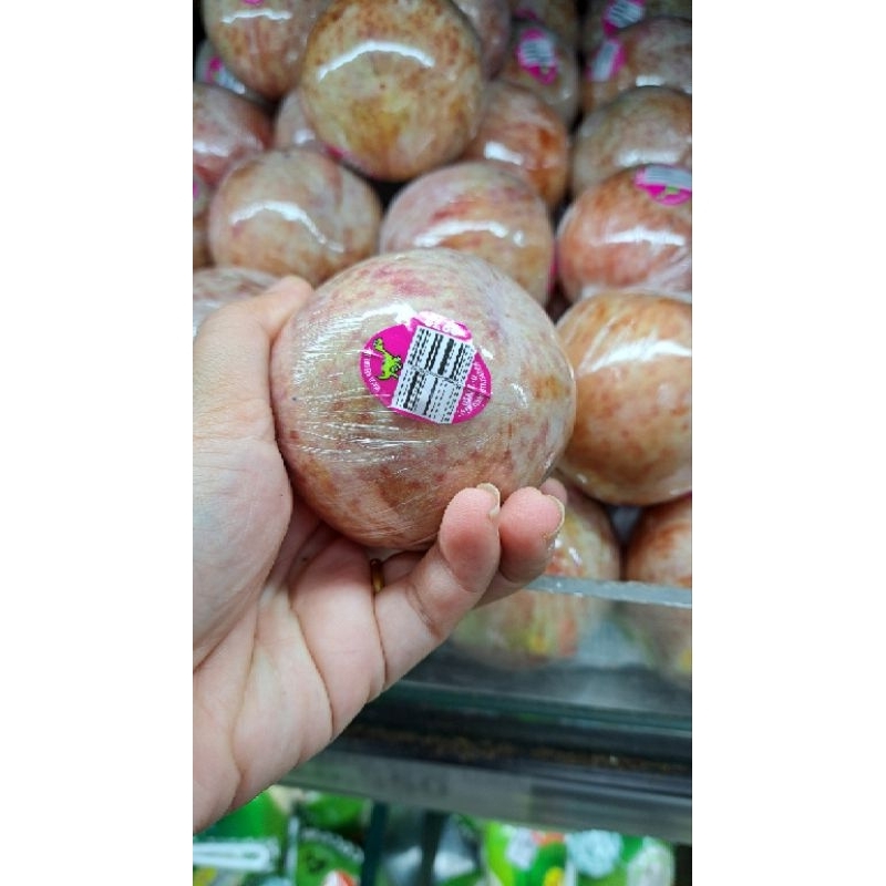 

Plum Dino Egg USA Premium 500 grm