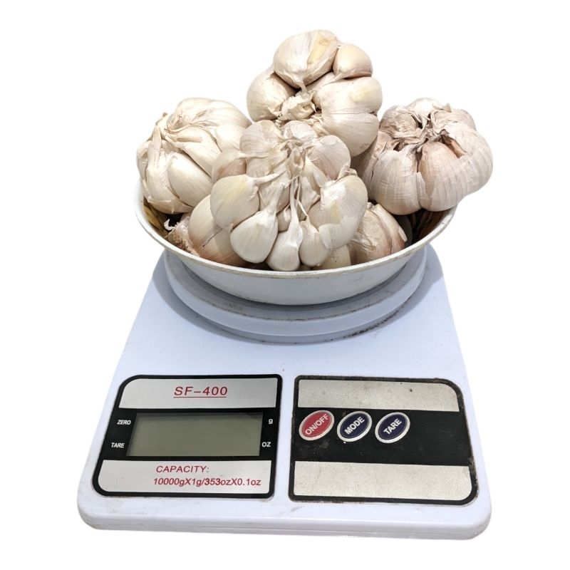 

BAWANG PUTIH SINCO 1KG