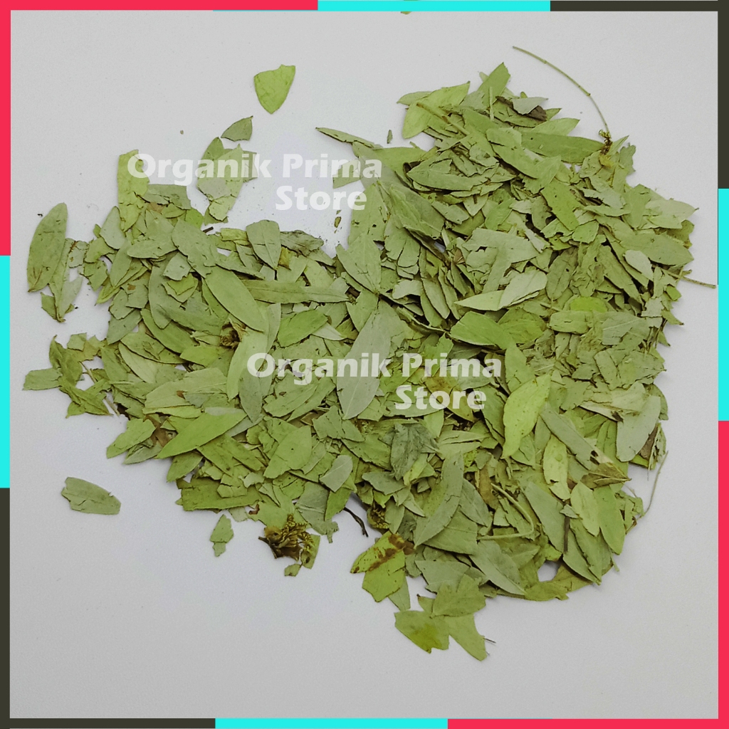 

Daun Jati Cina Bersih dan Organik