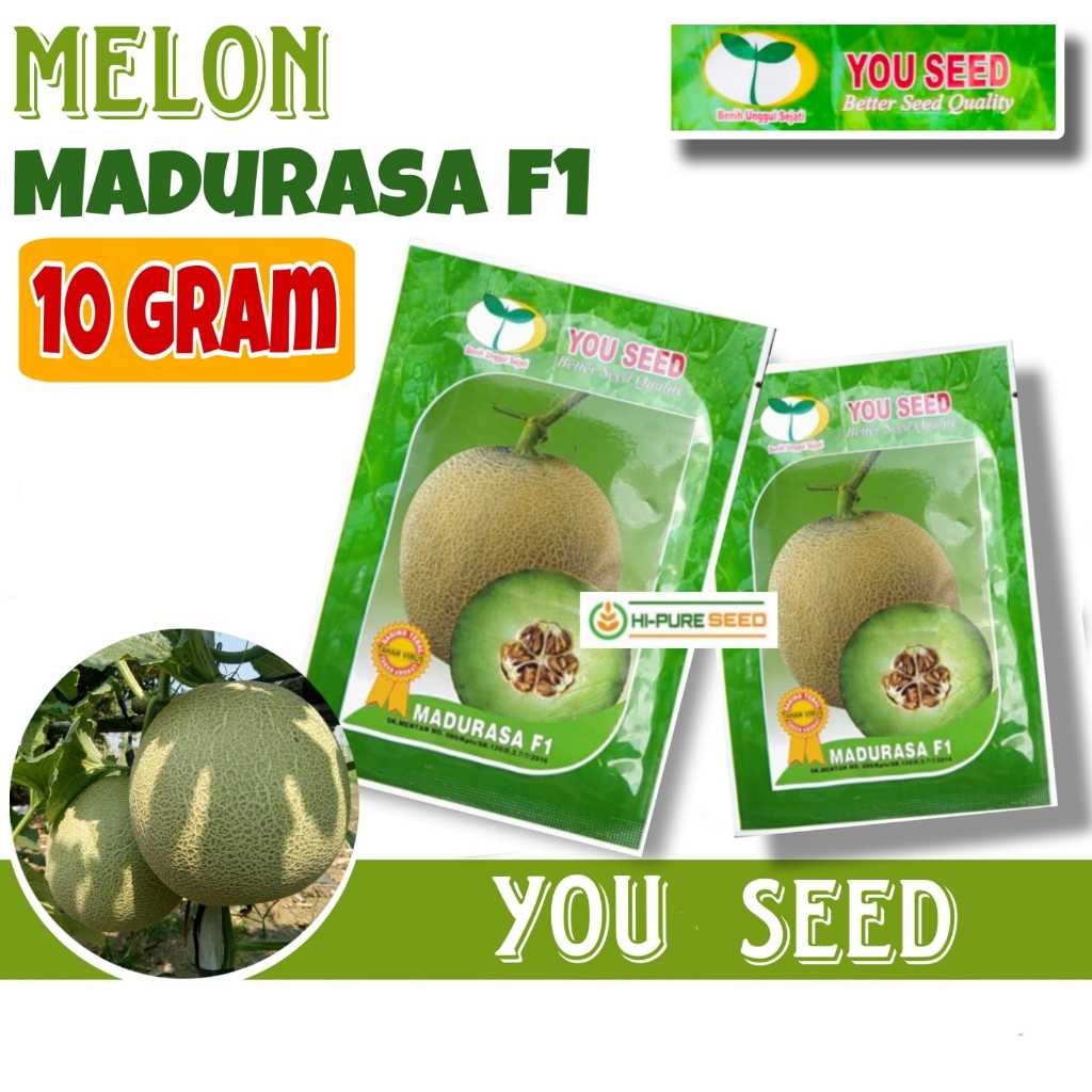 Benih Melon MADURASA F1 10 gram Tahan Virus Rasa Manis Cap You Seed