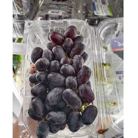 

Anggur Autumn Pack 500 Gram - Autumn Grapes