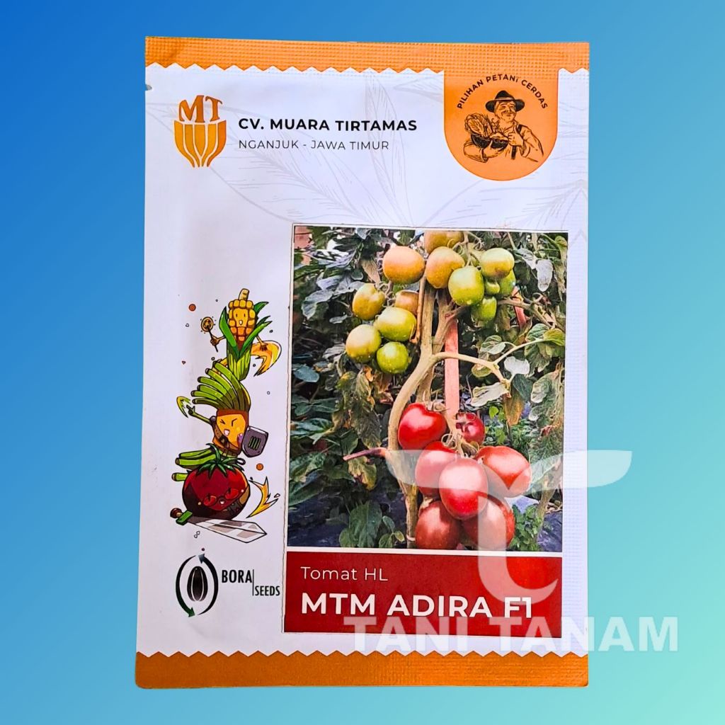 BENIH ADIRA F1 TOMAT HIBRIDA MTM