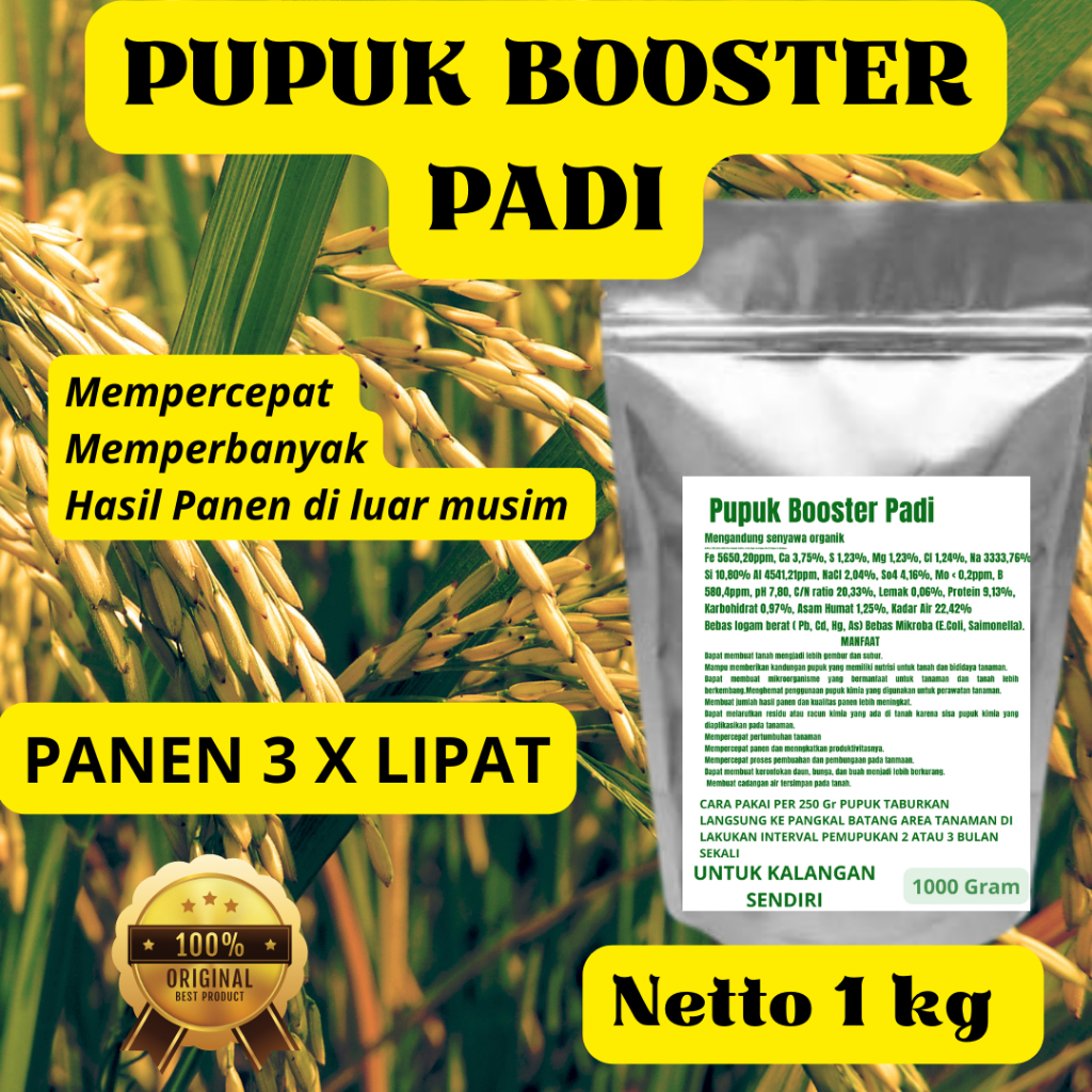 Pupuk organik booster perangsang dan pelebat buah Padi agar cepat berbuah tidak mudah rontok pupuk o