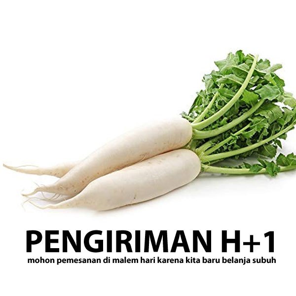 

Lobak Putih perkilo sayuran segar