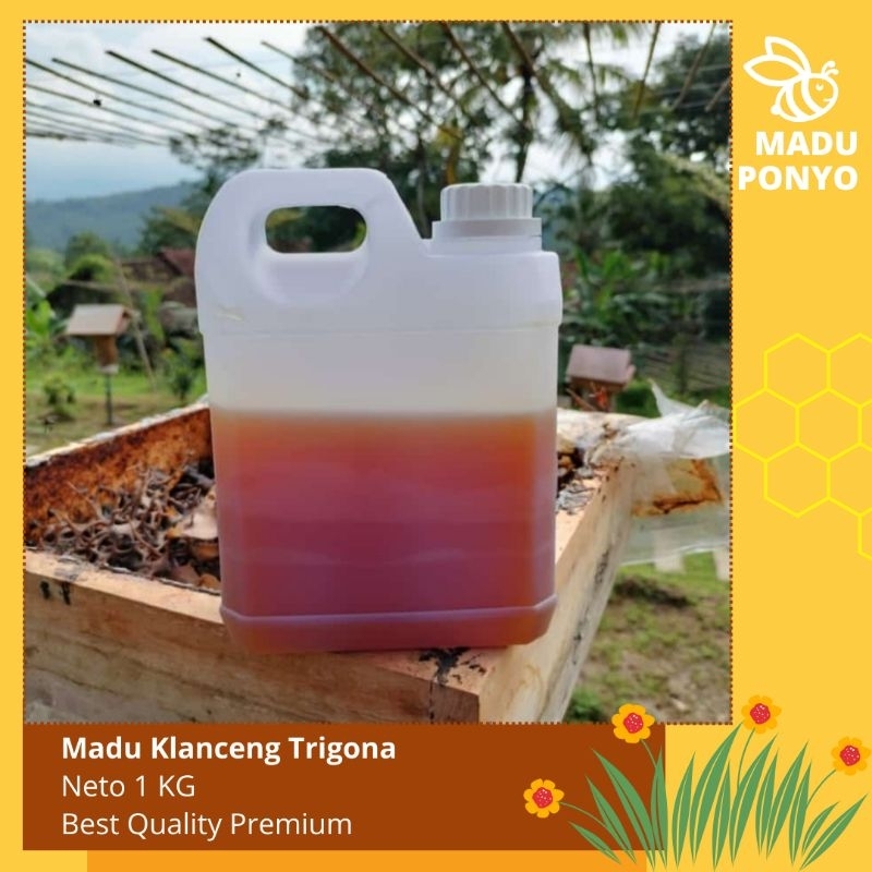 

Madu klanceng teweul trigona murni asli isi 1kg raw honey
