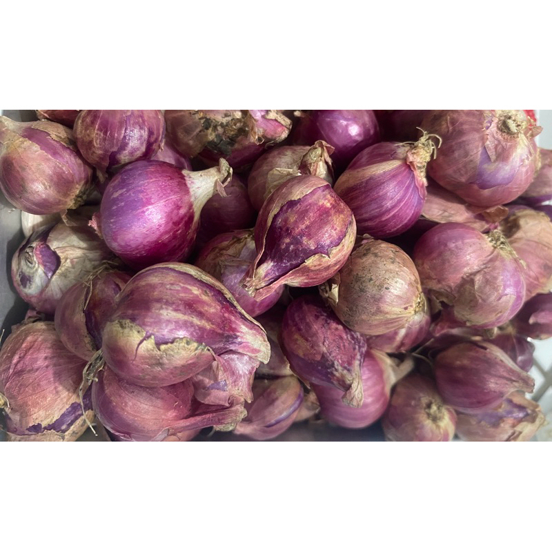 

bawang merah ukuran campur sedang kecil 500 gram