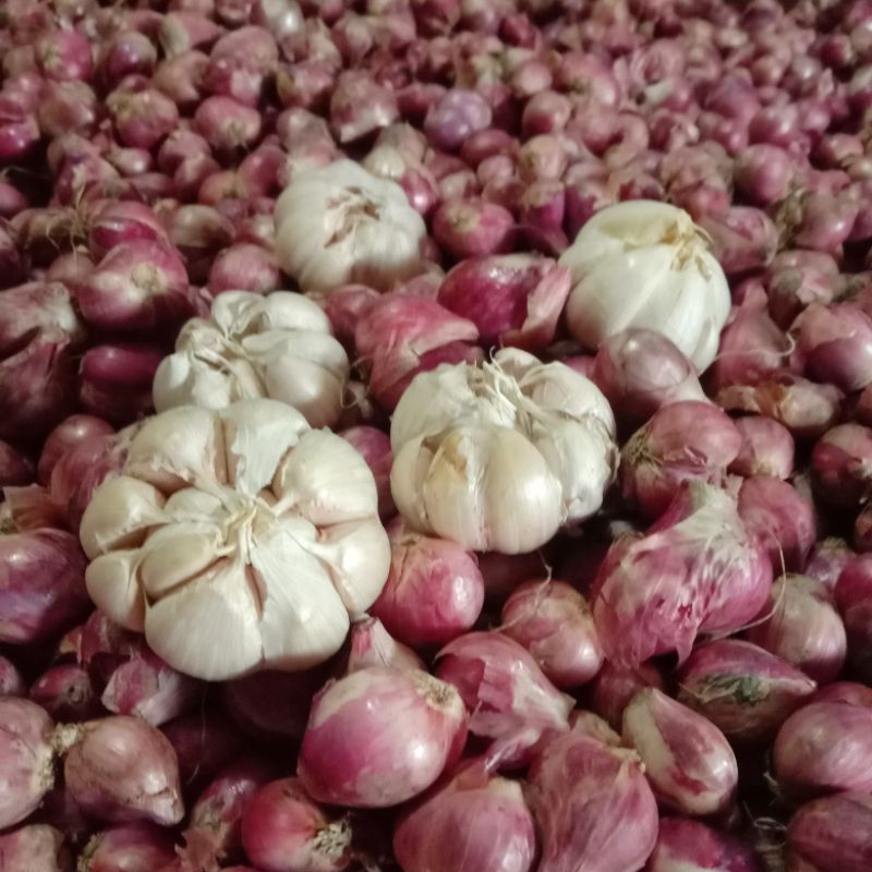 

1 Paket Bawang Merah ( Bawang Merah 1 Kg,Bawang Putih 500Gram )