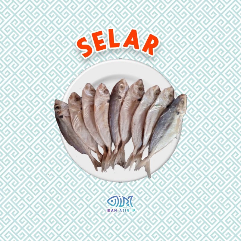 

IKAN ASIN SELAR