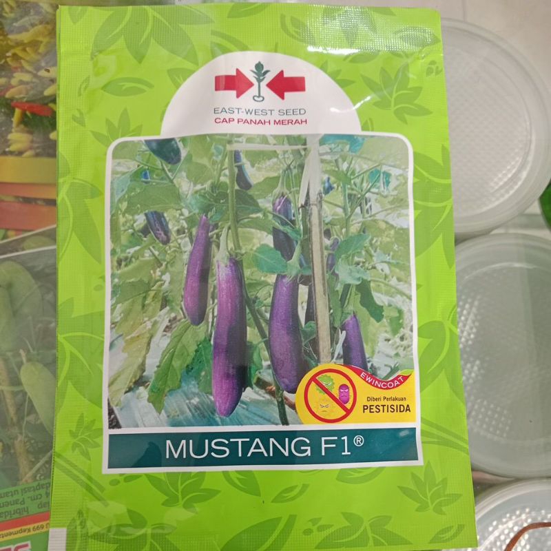 MUSTANG F1 Bibit Terong Ungu