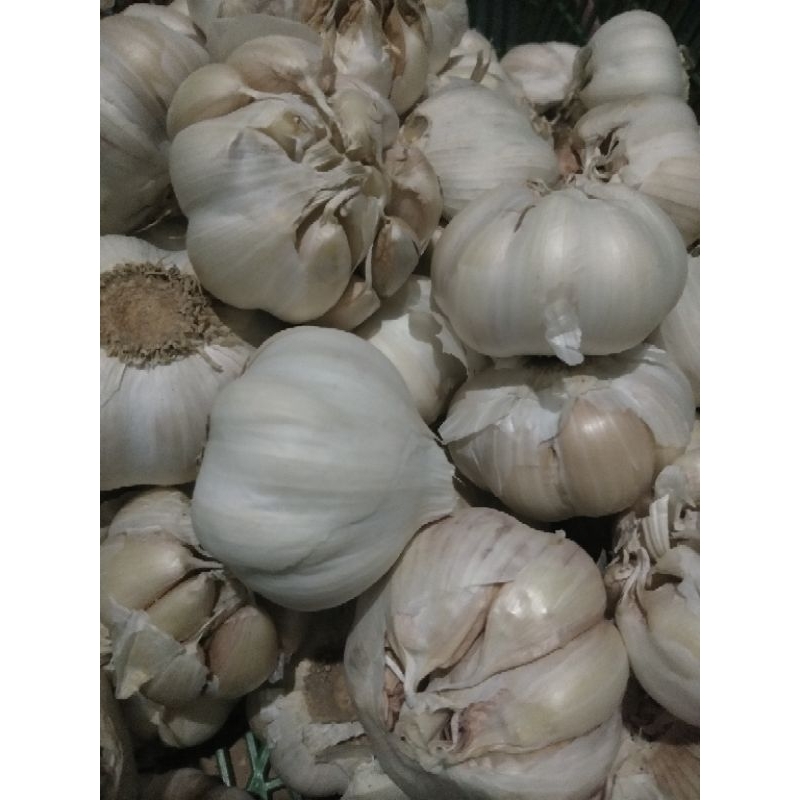 

Bawang putih 500gr samarinda