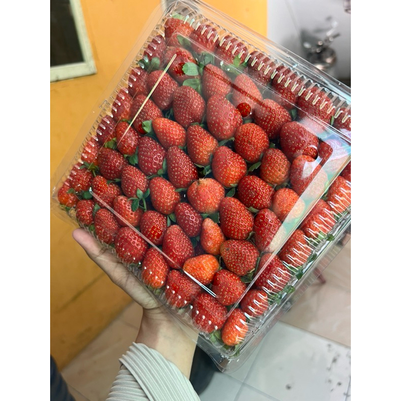 

Strawberry Fresh 1 kg grade C (kecil)