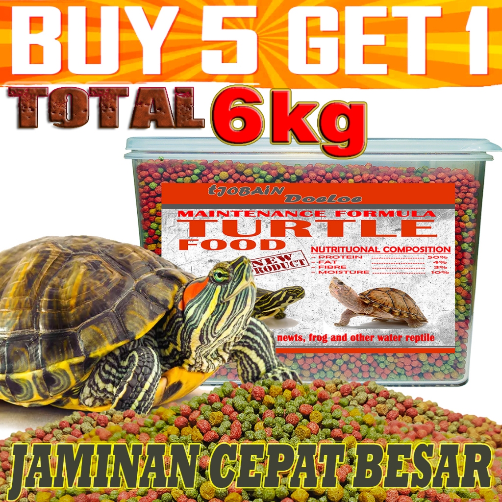 MAKANAN PAKAN PELET KURA KURA AIR TURTLE FOOD BRAZIL RES PACMAN MURAH MERIAH MULTI COLOR KATAK TERRA