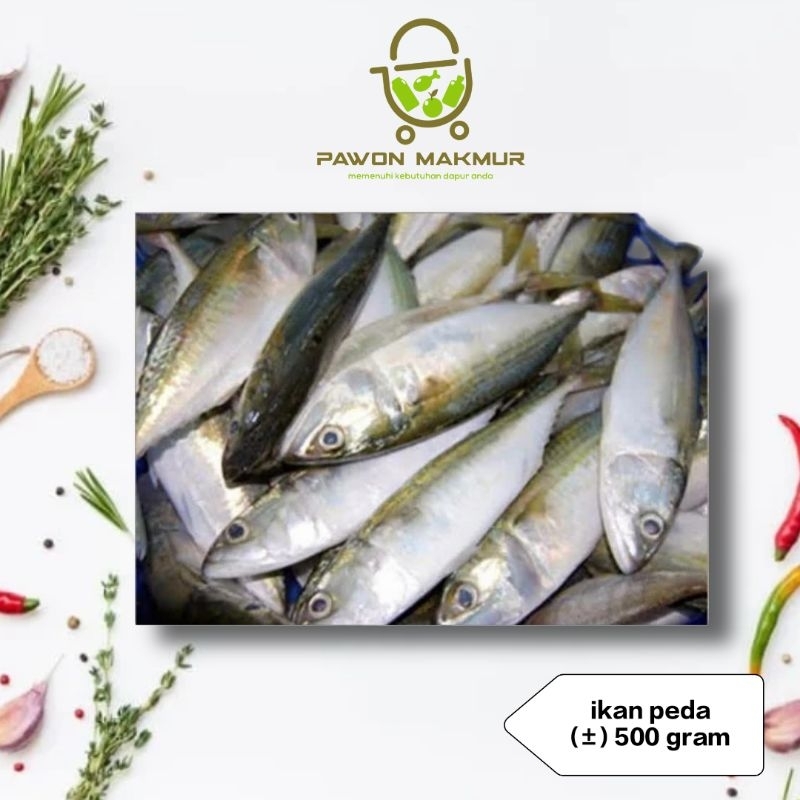 

IKAN PEDA (±)500 GRAM SUDAH BESIANG ATAU DIBERSIHKAN DALAM NYA