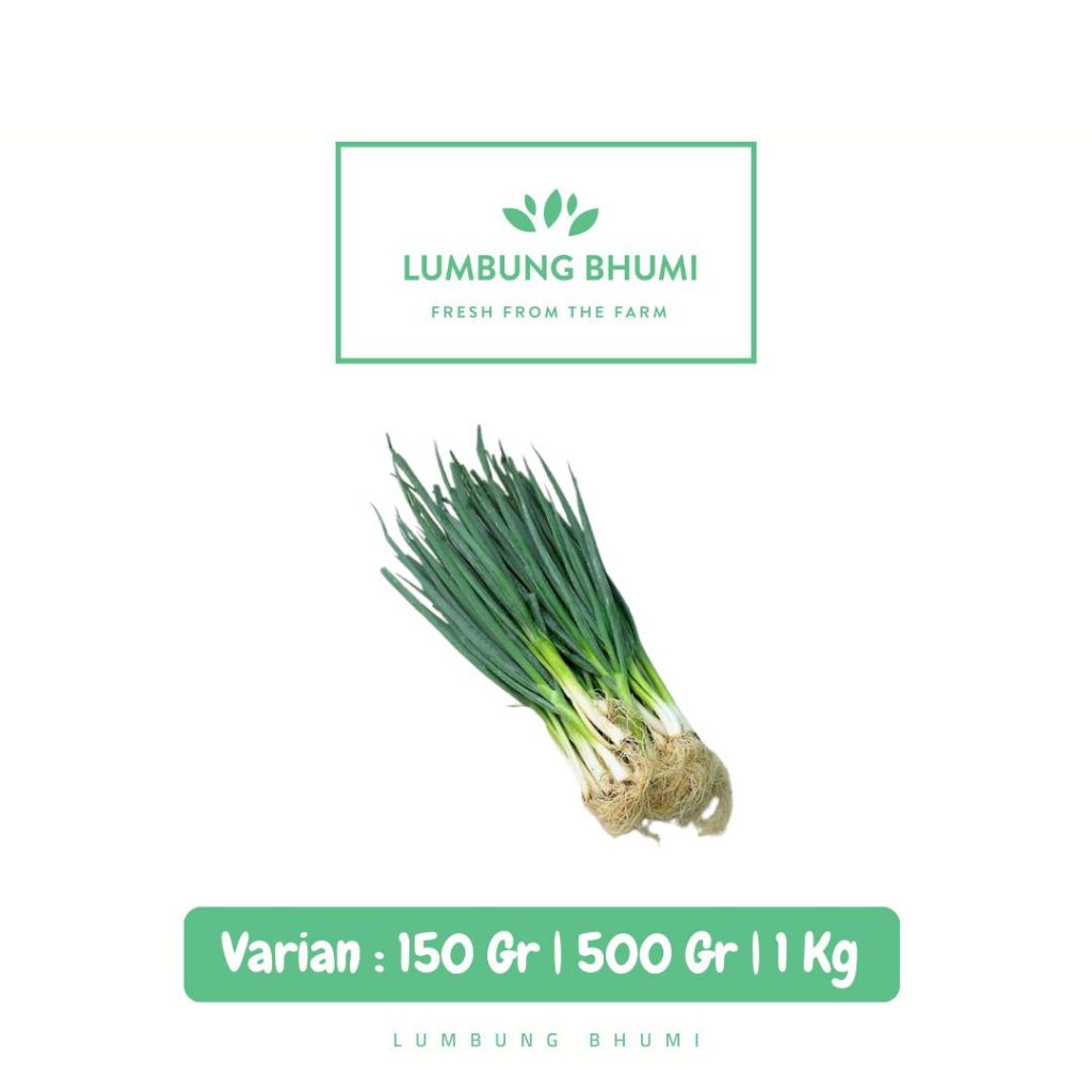 

Daun Bawang Besar Sayur - Lumbung Bhumi