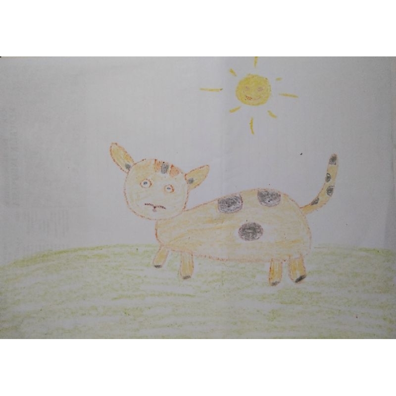 

Anabul gambar kucing meong orange belang tiga